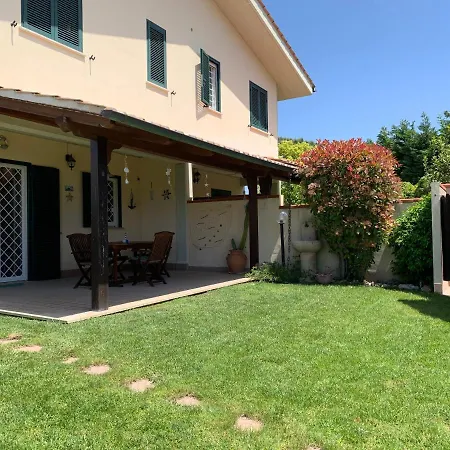 Cactus 2020 * Sabaudia