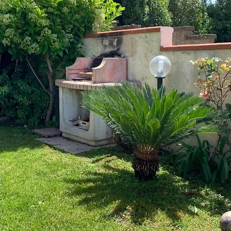 Cactus 2020 * Sabaudia