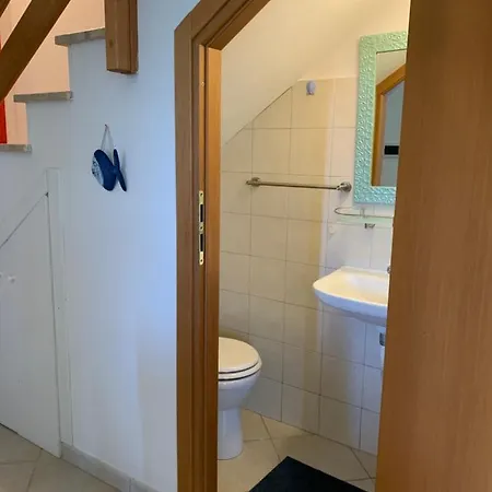 Cactus 2020 Sabaudia